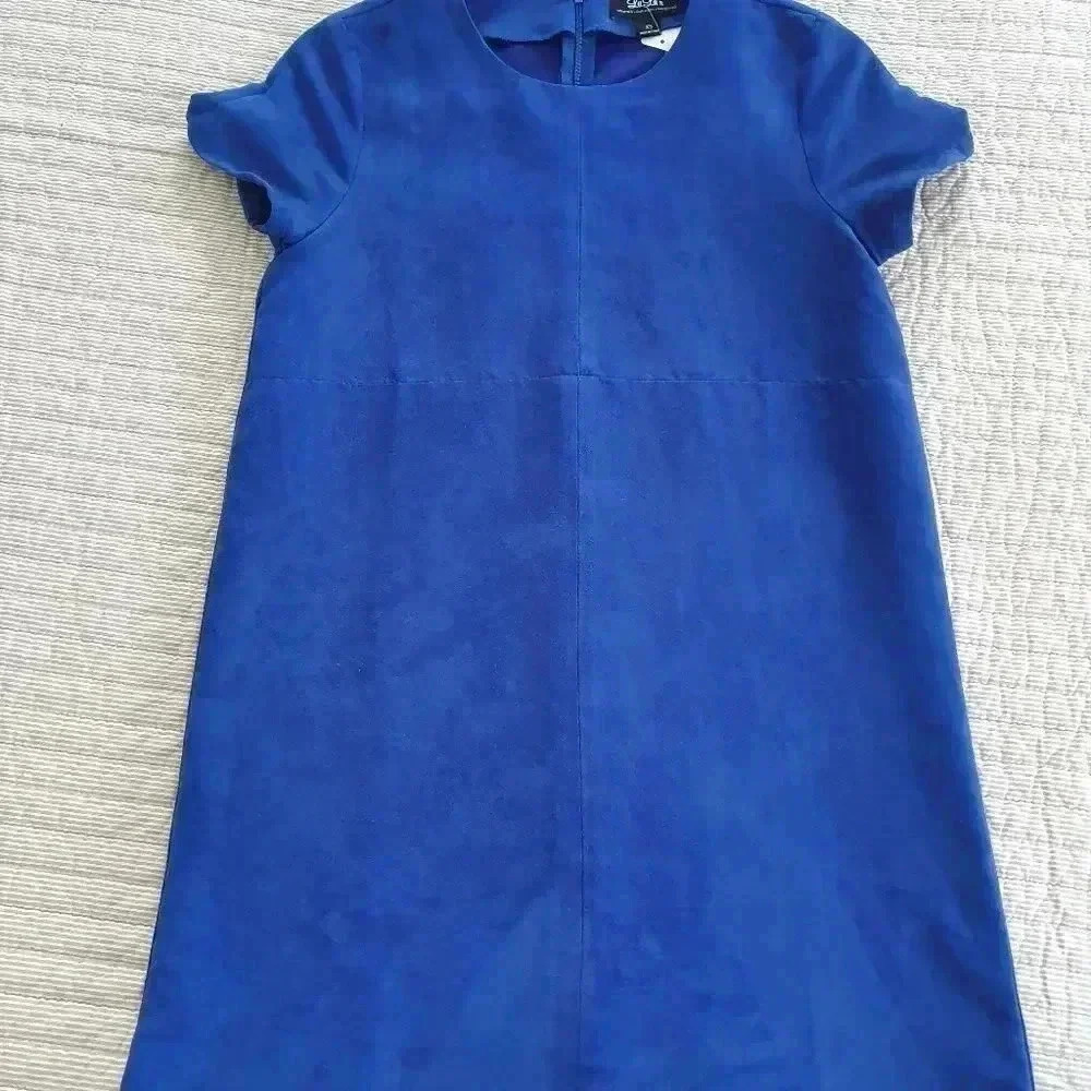COPY - Lulus faux suede mini dress - Picture 4 of 4